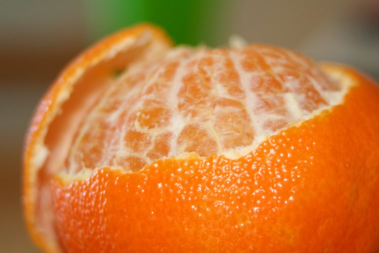 Eat the Skin: Citrus Pith, A Nutritional Powerhouse