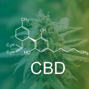 CBD and Chronic Pain — Health Facts You Need to Know