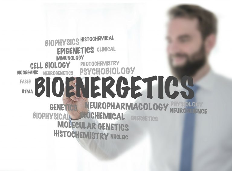 Studying Bioenergetics for Macular Degeneration Treatment