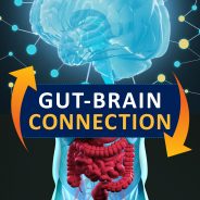 Postbiotics: More Science of the Gut-Brain Axis