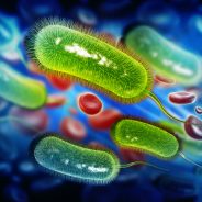 Alternative Treatments for H Pylori