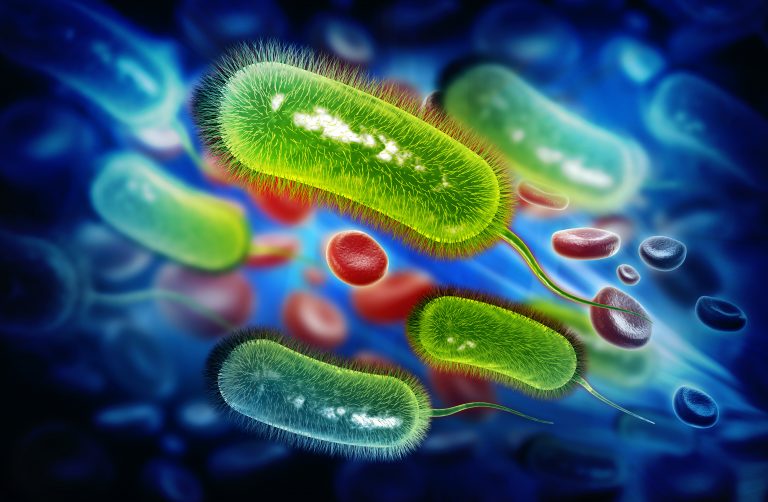 Alternative Treatments for H Pylori