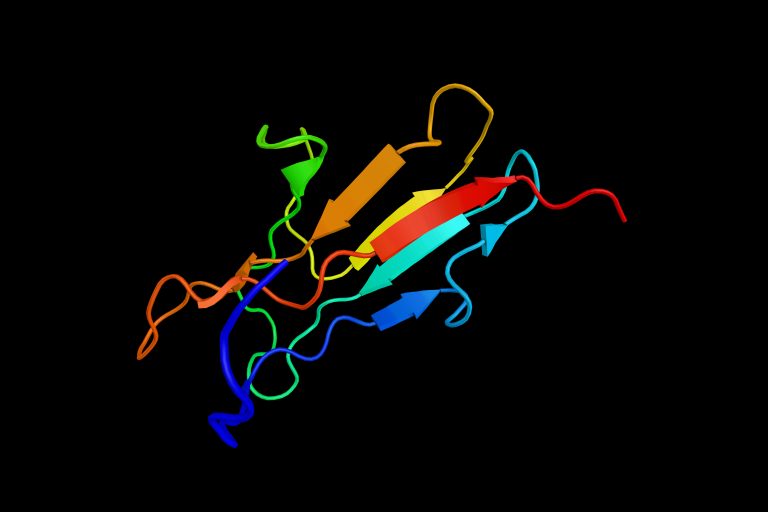 Advanced Glycation End Products